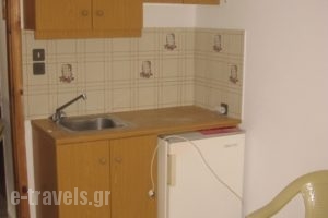 Argiro Apartments_lowest prices_in_Apartment_Crete_Rethymnon_Aghia Galini