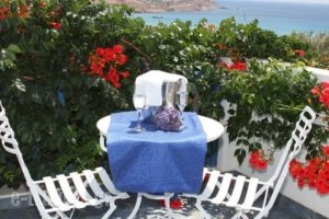 Penelope Village_holidays_in_Hotel_Cyclades Islands_Mykonos_Elia