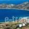 Agios Pavlos Studios_holidays_in_Hotel_Cyclades Islands_Amorgos_Amorgos Chora