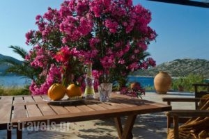 Agios Pavlos Studios_best prices_in_Hotel_Cyclades Islands_Amorgos_Amorgos Chora