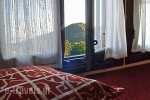 Archontiko Michopoulou_holidays_in_Hotel_Thessaly_Magnesia_Vizitsa