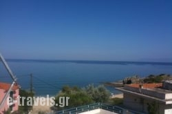 Telonis_s __1