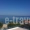 Telonis_accommodation_in_Apartment_Central Greece_Evia_Kymi