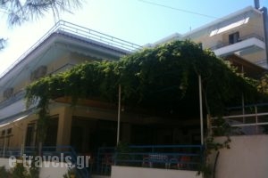 Telonis_holidays_in_Apartment_Central Greece_Evia_Kymi