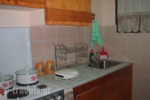 Genari Apartments_holidays_in_Room_Peloponesse_Ilia_Pyrgos