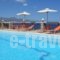 Ostria Apartments_holidays_in_Apartment_Crete_Lasithi_Aghios Nikolaos