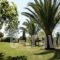 Thomas Bungalows-Houses_accommodation_in_Room_Ionian Islands_Corfu_Arillas