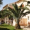 Poseidon Apartments_holidays_in_Apartment_Ionian Islands_Corfu_Agios Gordios