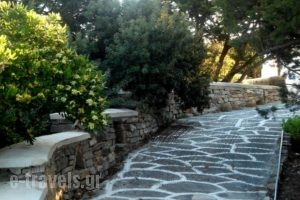 Glyfada View Studios_best deals_Hotel_Cyclades Islands_Naxos_Naxos chora