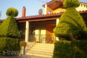 Villa Rodon_holidays_in_Villa_Peloponesse_Argolida_Drepano