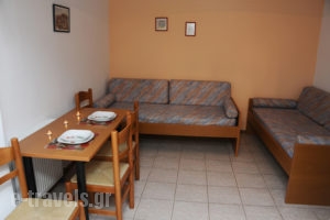 Vergina Apartments_lowest prices_in_Room_Ionian Islands_Corfu_Corfu Rest Areas