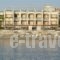 Sitia Bay_best deals_Apartment_Crete_Lasithi_Sitia