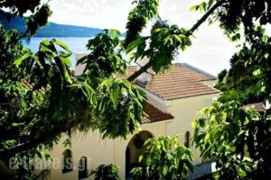 Velanidia Apartments_holidays_in_Apartment_Ionian Islands_Lefkada_Sivota