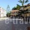 Castello Beach Hotel_accommodation_in_Hotel_Ionian Islands_Zakinthos_Zakinthos Chora