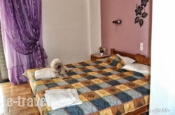 Rodis Studios in Poros Rest Areas, Poros, Piraeus Islands - Trizonia