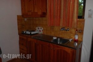 Rodis Studios_best deals_Apartment_Piraeus Islands - Trizonia_Poros_Poros Rest Areas