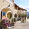 Harris Apartments_lowest prices_in_Apartment_Ionian Islands_Corfu_Acharavi