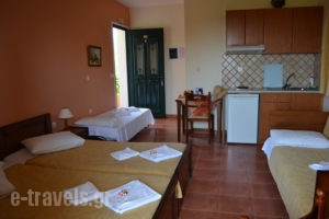 Vitoratos Studios_accommodation_in_Apartment_Ionian Islands_Kefalonia_Kefalonia'st Areas