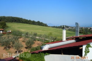 Paradise_accommodation_in_Hotel_Central Greece_Attica_Oropos
