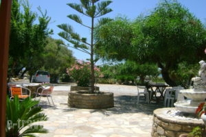 Zanneta Studios_best prices_in_Apartment_Cyclades Islands_Naxos_Mikri Vigla