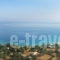 Ionis Studios_best prices_in_Apartment_Ionian Islands_Lefkada_Lefkada Chora