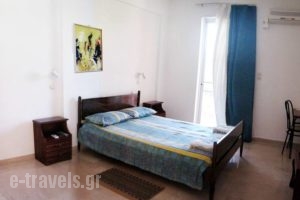 Ionis Studios_accommodation_in_Apartment_Ionian Islands_Lefkada_Lefkada Chora