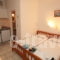 Crystal Studios_best deals_Apartment_Aegean Islands_Thasos_Chrysi Ammoudia