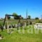 Villa Anastasia_best prices_in_Villa_Central Greece_Evia_Pefki