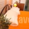 Angeliki Apartments_accommodation_in_Apartment_Ionian Islands_Paxi_Gaios