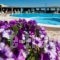 Golden Sun Hotel_accommodation_in_Hotel_Cyclades Islands_Naxos_Naxos chora