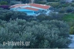 Villa Xenia_s __1