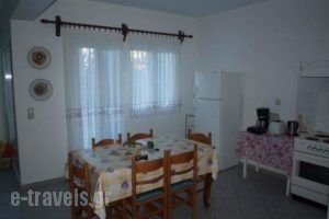 Villa Xenia_lowest prices_in_Villa_Aegean Islands_Samos_Samos Chora