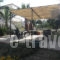 Ktima-Lila_travel_packages_in_Peloponesse_Argolida_Thermisia