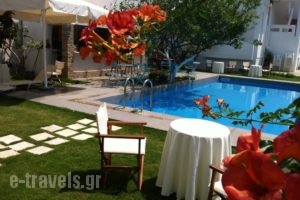Tree Of Life_best prices_in_Apartment_Crete_Chania_Agia Marina