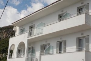 Filoxenia Hotel & Apartments_best prices_in_Apartment_Ionian Islands_Kefalonia_Kefalonia'st Areas