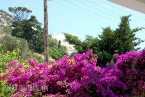 Koukos_best prices_in_Hotel_Cyclades Islands_Ios_Ios Chora
