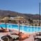 Purple Pig Stars Camping & Bungalows_travel_packages_in_Cyclades Islands_Ios_Ios Chora