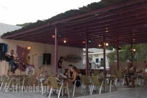 Purple Pig Stars Camping & Bungalows_best deals_Hotel_Cyclades Islands_Ios_Ios Chora