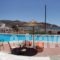 Purple Pig Stars Camping & Bungalows_lowest prices_in_Hotel_Cyclades Islands_Ios_Ios Chora