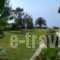 Villa Maria_holidays_in_Villa_Ionian Islands_Corfu_Corfu Rest Areas