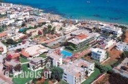 Cactus Village in Athens, Attica, Central Greece