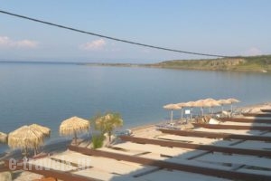 9 Musses Studios_accommodation_in_Hotel_Aegean Islands_Lesvos_Polihnit's