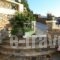 Kalimera Studios_lowest prices_in_Hotel_Cyclades Islands_Andros_Andros City