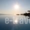 Zinas Villas_holidays_in_Villa_Cyclades Islands_Mykonos_Agios Stefanos