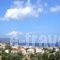 Boulevard Panorama Suites_lowest prices_in_Hotel_Ionian Islands_Kefalonia_Kefalonia'st Areas