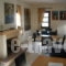 Guesthouse Park of Nestorio_best prices_in_Room_Macedonia_kastoria_Nestorio