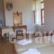 Marianthi Toroz Rooms & Studios_best deals_Room_Aegean Islands_Lesvos_Mythimna (Molyvos)