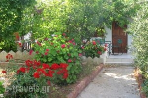 Sunrise Apartments_travel_packages_in_Crete_Lasithi_Sitia