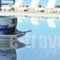 Paradision Hotel_best prices_in_Hotel_Cyclades Islands_Mykonos_Tourlos