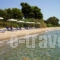 Chromata Beach Apartments_best deals_Apartment_Central Greece_Evia_Rovies